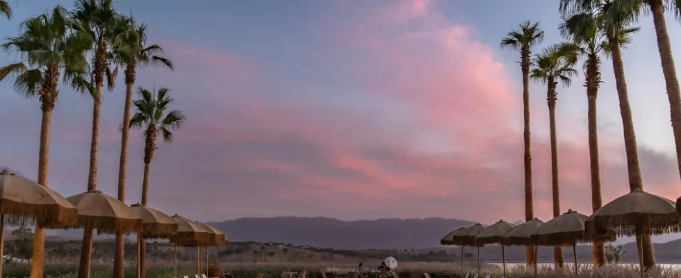 Pack de Bienvenue 100% jusqu'à 200€ + 100 Free Spins chez Unique Casino